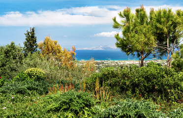 Fototapeta na wymiar Garden view at the background sea and mountains. Summer sunny day. Selective focus.