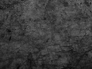 Black and white background image, rough surface, looks like a cement floor.