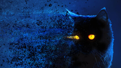 Black mystical cat on the background of the night sky. decay effect.