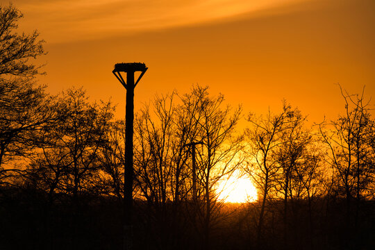 Stochennest im Sonnenuntergang Taunus Hessen 