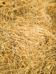 Straw lying in stacks on the field natural texture background yellow