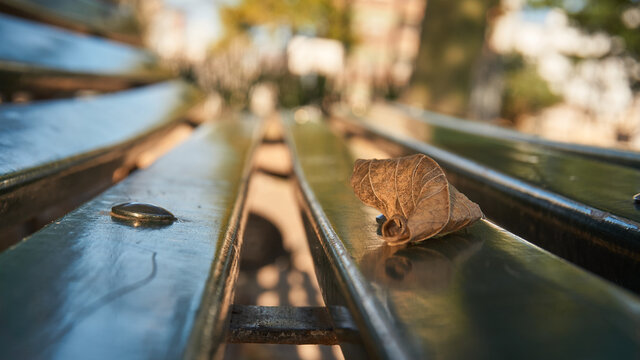 Green Square Bench With A Dry Leaf