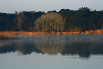 Fototapeta premium lake view in spring, reflections in the lake.