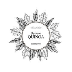 Hand drawn quinoa frame. Vector illustration in sketch style.