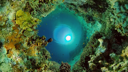 Underwater fish reef marine. Tropical colourful underwater seascape. Philippines.