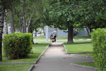 Fototapeta na wymiar Russian mother woman walks with a baby stroller in a end of Park alley with green grass, bushes and trees at summer day