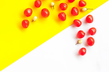 food - Thai Cooking ingredients . pattern on white and Yellow background.