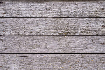 wooden gray background. weathered wood
