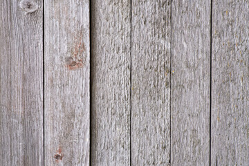 wooden gray background. weathered wood