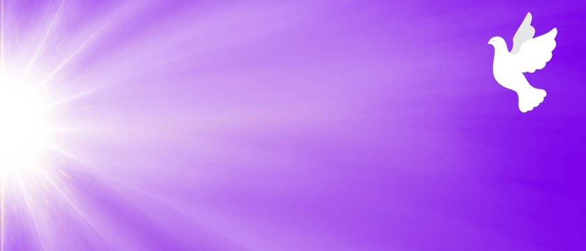 Banner viola luce magica raggiante Colomba Bianca vola. 