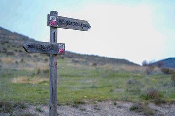Wooden signpost with an arrow