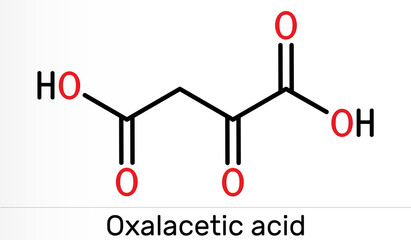 Oxaloacetic acid, oxalacetic acid, OAA, oxaloacetate molecule. It is oxodicarboxylic acid,  metabolic intermediate. Skeletal chemical formula