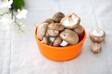 Collection of organic brown champignon mushrooms and shiitake mushrooms in an orange bowl. Background of natural linen fabric in beige and white orchid.