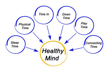 What does Healthy Mind Need?