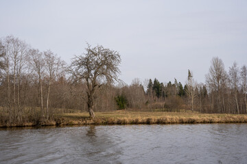 Latvia rural landscape with ponds created for fish farming in the early spring day