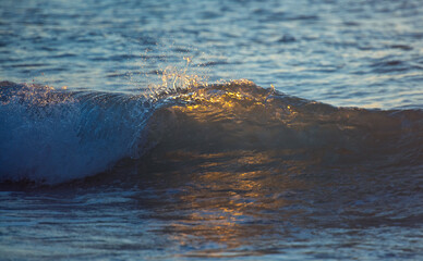 Gentle small wave lit by the sun from the back.