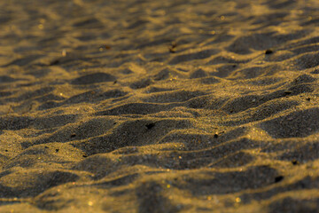 夕陽の当たる砂浜