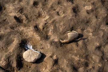 the bottom of the pond bed when you lower the water you can see various interesting patterns and masonry formed by mud and sand