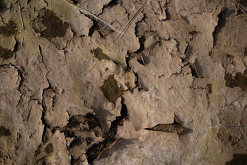 the bottom of the pond bed when you lower the water you can see various interesting patterns and masonry formed by mud and sand