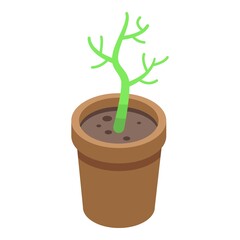 Asparagus plant pot icon. Isometric of Asparagus plant pot vector icon for web design isolated on white background