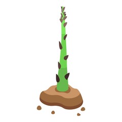 Asparagus plant icon. Isometric of Asparagus plant vector icon for web design isolated on white background
