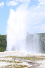 Old Faithful geyser in Yellowstone National Park, Wyoming, USA