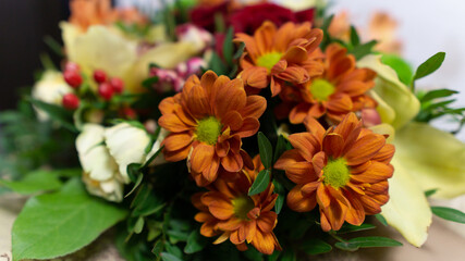Colorful flowers of beautiful summer