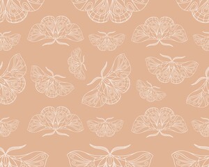 seamless pattern with butterflies, linear insect drawing, light spring, summer background, stylized vector graphics