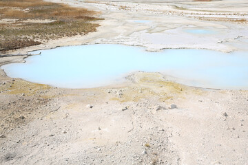 Hot spring in Yellowstone National Park, Wyoming, USA
