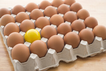 One special yellow egg in other normal eggs background. Think differently, standing out from the crowd, creative thinking ideas in business and marketing concept.