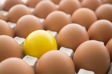 One special yellow egg in other normal eggs background. Think differently, standing out from the crowd, creative thinking ideas in business and marketing concept.