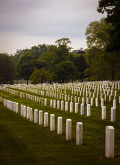Straight rows of tombstones/headstones in Arlington National Cemetery.