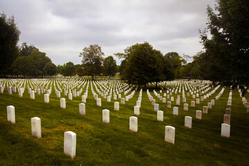 Straight rows of tombstones/headstones in Arlington National Cemetery.