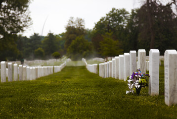Straight rows of tombstones/headstones in Arlington National Cemetery.