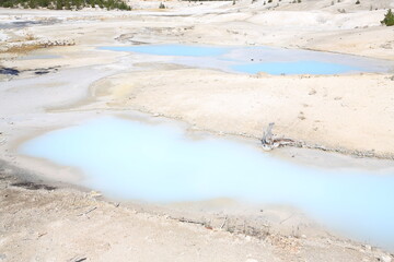 Geyser in Yellowstone National Park, Wyoming, USA