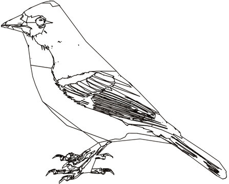 recommend clip art: bird geometric art outlines tattoo