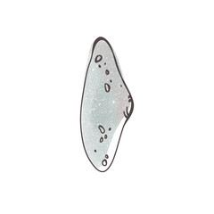 Watercolor blue seashell with ink outline isolate on white background. Doodle digital art outline. Print for sticker, tattoo, scrapbook, packaging, brand, poster, banner