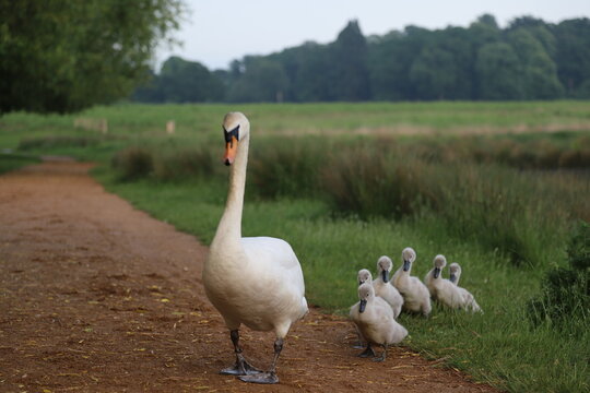 「リッチモンド」の画像 1,174 件の Stock 写真、ベクターおよびビデオ Adobe Stock