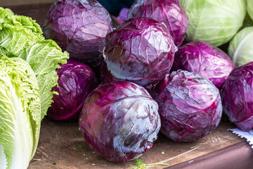 Fototapeta na wymiar Fresh red cabbage of new harvest
