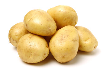 potato on a white background