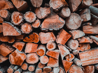 Cracked and dried pieces of oak wood, ready for the fire
