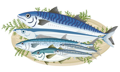 脳の健康に良い栄養素は青魚