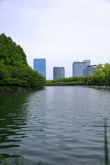 Fototapeta na wymiar 大阪城公園　大阪　日本