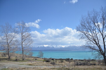 Fototapeta na wymiar A milky blue colour of Lake Tekapo.