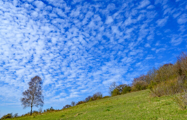 Fototapeta premium North Downs near Otford in Kent, UK. Scenic view of the English countryside with blue sky and white clouds. Otford is located on the North Downs Way and is a good base for exploring the countryside.