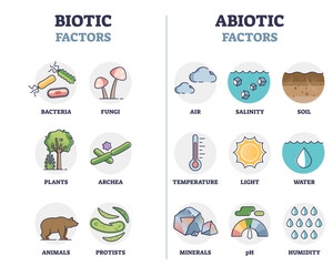 Biotic and abiotic factors as biological elements division outline diagram. Nature ecosystem living and non-living organisms classification scheme with labeled component examples vector illustration.