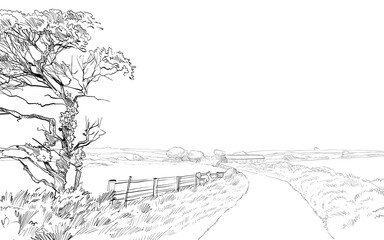Countryside road landscape. English village sketch hand drawn vector illustration.