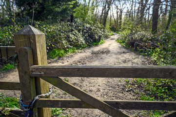 Fototapeta na wymiar Part of the North Downs Way near Otford in Kent, UK. Gate and dirt track in woodland. Otford is located on the North Downs and is a good base for exploring the countryside.