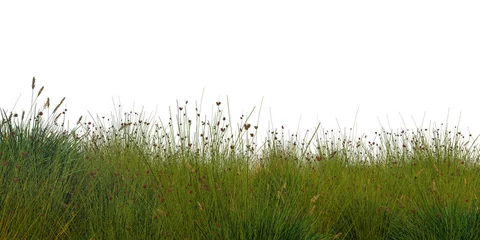 Papier Peint photo Autocollant Herbe grass cutout on a white background