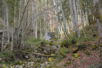 Wanderung Taubensee/Sonnwendk&ouml;pfl